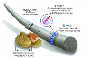 【轉載】 查了多篇科學文獻，給你一份PM2.5知識圖譜